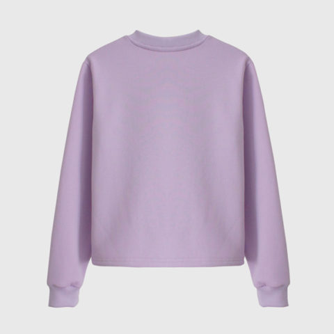 Lilac sweatshirt with embroidery and tricolour print